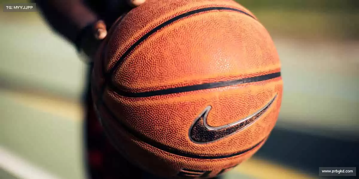 为什么选择我们